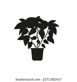 Black linocut silhouette of potted houseplant poinsettia. Tropical plant monochrome hand drawn design