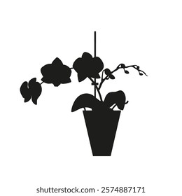 Black linocut silhouette of potted houseplant moth orchid. Tropical plant monochrome hand drawn design