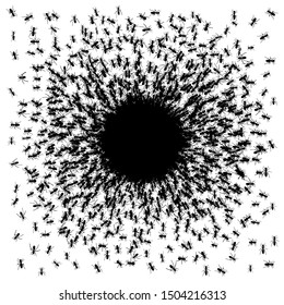 Black little ants. Vector illustration. 