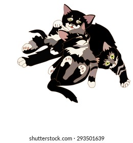 Black little kittens on a white background