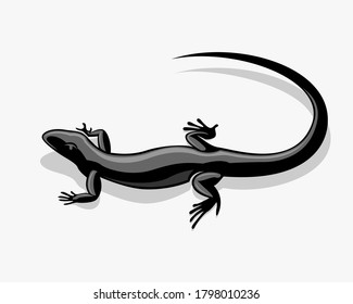 black lizard, iguana vector drawing art design illustration