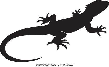 Black lizard silhouette on white background reptile