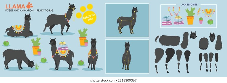 Black Llama Alpaca cartoon character ready to rig for animation. Collection, set multiple poses, cute animal vector with accessories. Farm animals rig ready