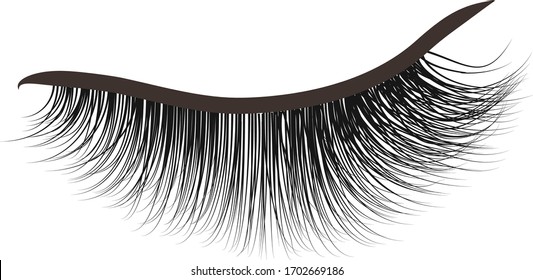  black  long lashes with eyeliner