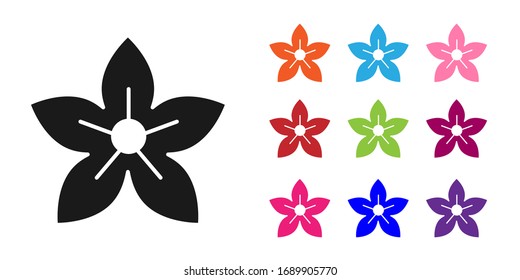 Black Lotus flower icon isolated on white background. Set icons colorful. Vector Illustration