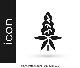 Black Lupine flower icon isolated on white background.  Vector