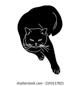 Black lying cat silhouette isolated on white background. Cute kitty. Print design for t-shirts, stickers, souvenirs. humorous animals. Flat style in vector illustration. 