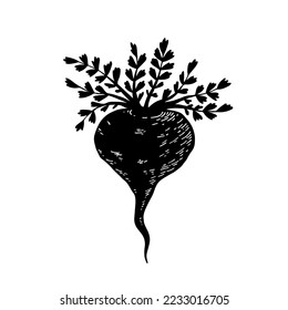 Black maca. Hand drawn silhouette vector illustration.