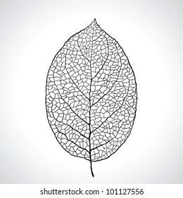 Black macro leaf natural isolated. Vector illustration.