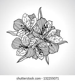 Black macro orchid flower isolated.