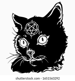 black magic cat with a pentagram