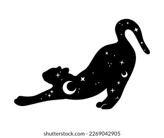 black magical cat  Mystic cat and crescent moon esoteric symbol  constellation  stars magical elements  Magical cat witchy black cat isolated white background