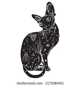 black magical cats, Mystic Sphynx cat with crescent moon esoteric symbol, constellation, stars magical elements. Magical cat,witchy black cat