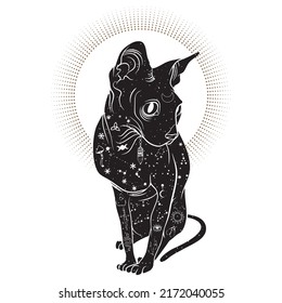 Black magical cats, Mystic Sphynx cat with crescent moon esoteric symbol, constellation, stars magical elements. Magical cat, witchy black cat