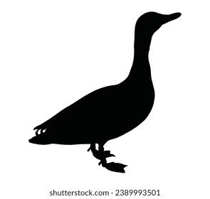 Black Mallard Duck Silhouette Vector illustration.