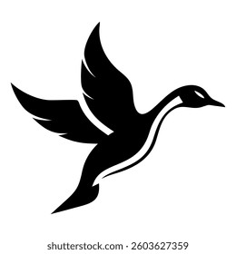 Black and mallard ducks standing isolated on a white background