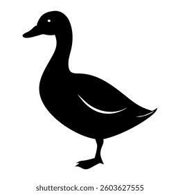 Black and mallard ducks standing isolated on a white background