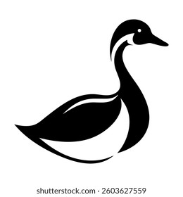 Black and mallard ducks standing isolated on a white background