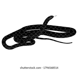 Black mamba illustration for designing 