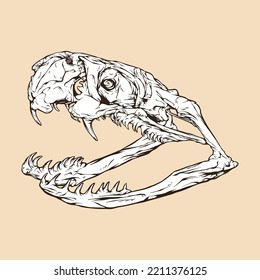 black mamba skull head vector illustration