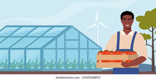 Homem negro agricultor fica perto de estufa e segurando caixa de tomates nas mãos. Cultivo de plantas. Desenho para agricultura, horticultura ou agronomia. Modelo para faixa, cartaz, folheto.