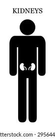 Black man silhouette with two human kidney, front view. Modern medical care infographic. kidneys male anatomy - simple graphic design icon. vector art image illustration, isolated on white background