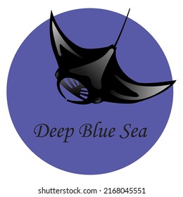 Black manta ray isolated on white background. Swimming posture.