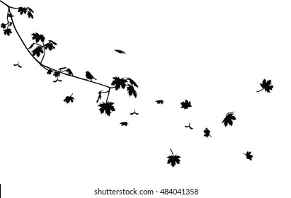 Black maple branch with flying leaves