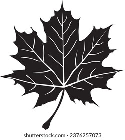 Black maple leaf flat icon on white background, vector.