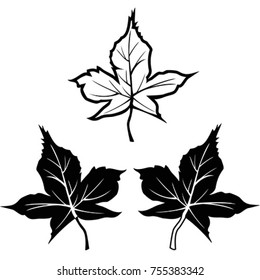 black maple leaf shape outline contour icons