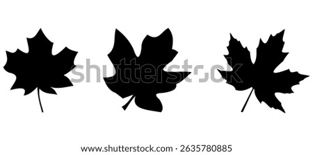 Black maple leaf silhouette canadian nature symbol vector Illustration. Collection of floral and leaf vector
