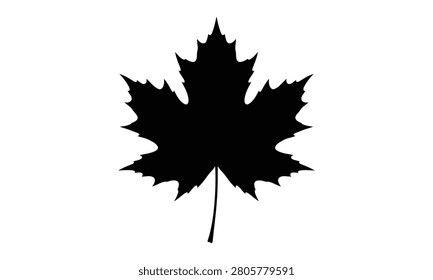 Black, maple, leaf, silhouette, icon, isolated, on, white, background, Canada, national, symbol, autumn, nature, vector, graphic, element, design, sign, logo