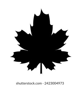 Black maple leaf. Leaf silhouette on isolated background.Vector illustration.
