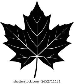 Black maple leaf silhouette vector illustration
