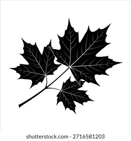 Black maple leaves vector illustration. Autumn foliage element. Simple leaf shape graphic design. Nature plant silhouettes.