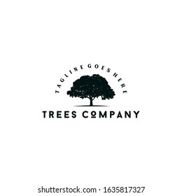 Black Maple Tree Ecology Concept Emblem Design Vector Logo