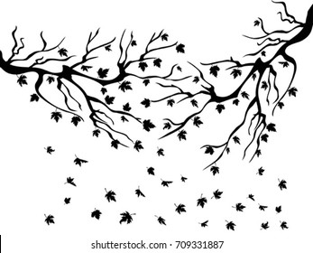 black maples falling background