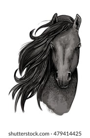 Black mare horse symbol of sketched racehorse head with long mane swept to one side. Equestrian sporting club, horse racing or t-shirt print design