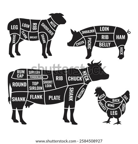 Black Meat Cutting Chart Vector Illustration