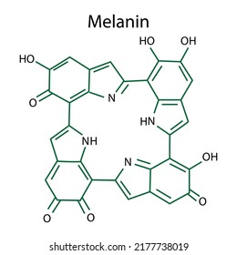 Black melanin formula. Vector illustration. Stock image. 