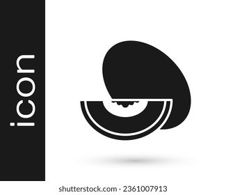Black Melon fruit icon isolated on white background.  Vector