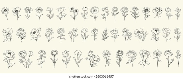 Black minimalist line art of peonies, feminine botanical floral branch, trendy greenery for luxury invitations, chic branding, modern event decor, high-end wedding logos, floral designs, luxury decor.