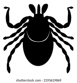 Ácaro negro, diseño plano, ilustración de un parásito de ácaros negros sobre un fondo blanco.
Pueden ver la cabeza, las piernas, el cuerpo y la nariz del parásito. Imagen de vista superior de un insecto.