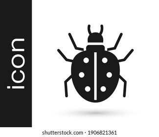 Icono de la cometa negra aislado en fondo blanco.  Vector
