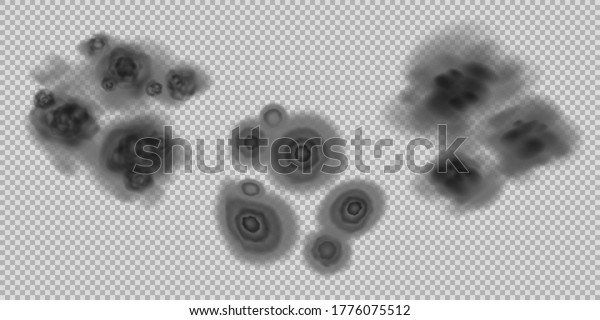 Black mold colonies a set of\
vector templates, allergenic black mildew spots with various\
textures, dark fungus colonies isolated, wall mouldiness, mustiness\
or rot