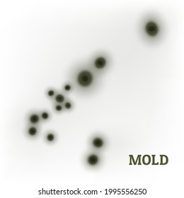 Black mold. Fungus. Stains on the wall of an apartment, house, poisonous spores. It affects bread and other foods. On a light background. Vector realistic illustration.