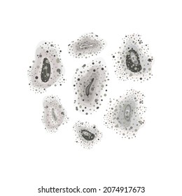 black mold. Black mold outbreak. Set with toxic spores, fungi, stains. Mucormycosis disease. Vector illustration, flat