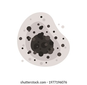 Black mold spot. Toxic mold spores. Fungi and bacteria. Tooth decay. Stain on the house wall. Isolated vector illustration on white background.