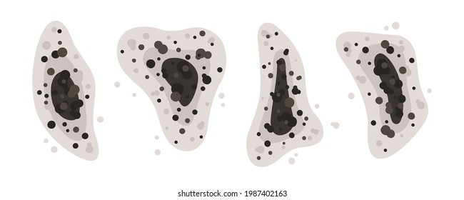 Black mold spots of different shapes. Mucormycosis or black fungus infection symbol. Toxic mold spores. Fungi and bacteria. Stains on the house wall. Isolated vector illustration on white background.