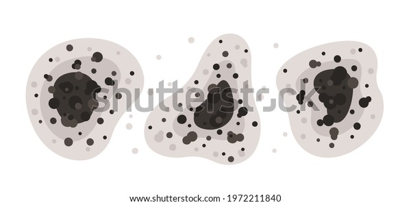 Black mold spots of different shapes.
Toxic mold spores. Fungi and bacteria. Stains on the house wall.
Isolated vector illustration on white
background.